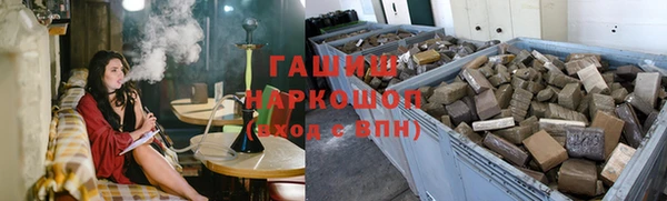 индика Абаза