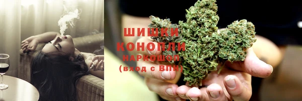 шишки Алексеевка