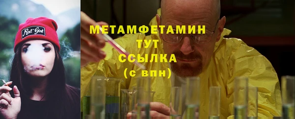 индика Абаза