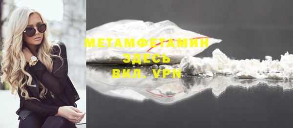 индика Абаза
