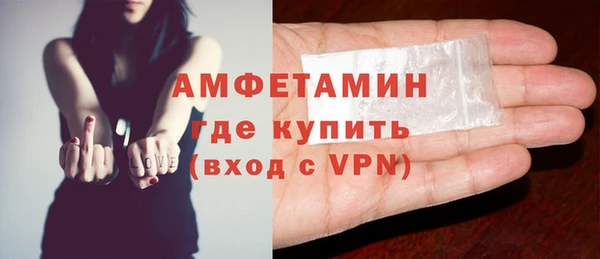 индика Абаза