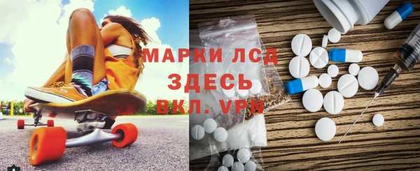 индика Абаза