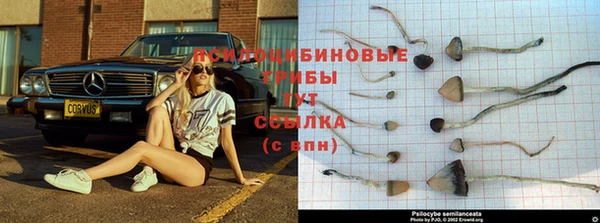марки nbome Алзамай