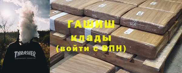 индика Абаза