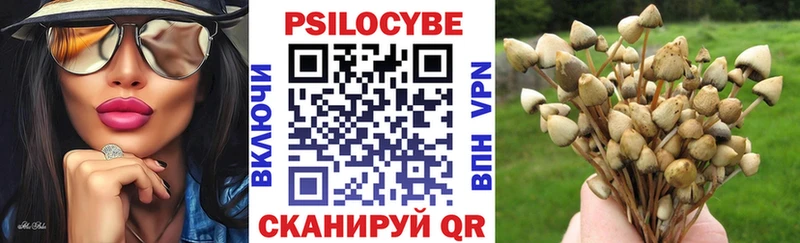 даркнет сайт  Морозовск  Псилоцибиновые грибы GOLDEN TEACHER 