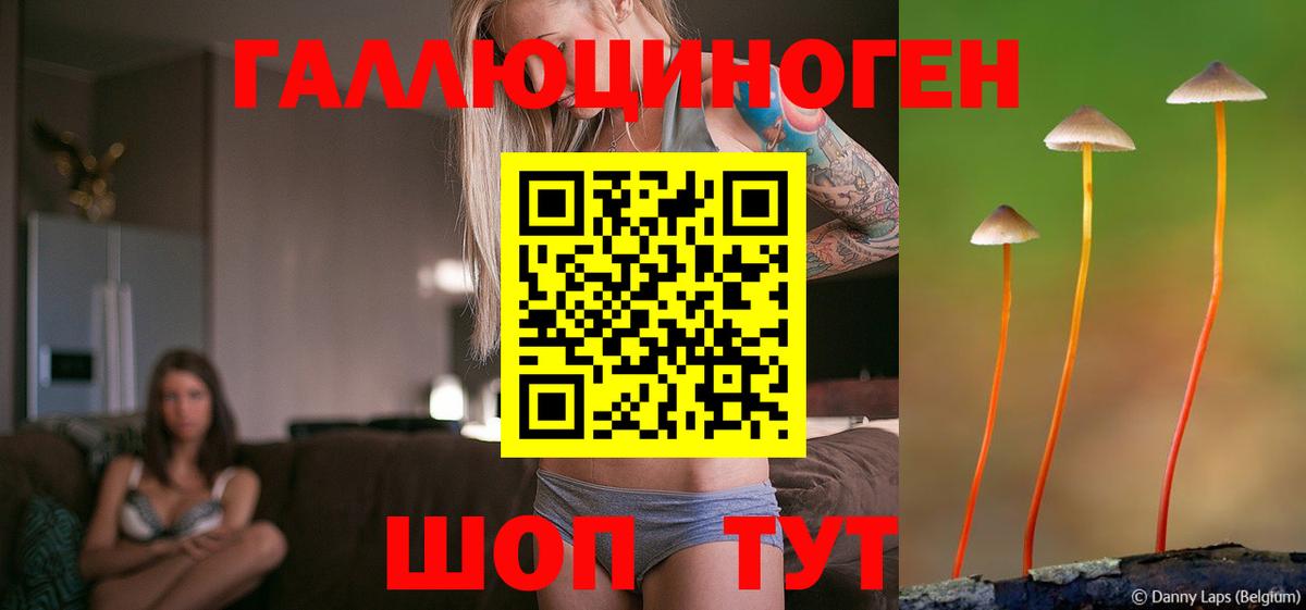 Галлюциногенные грибы GOLDEN TEACHER  Псилоцибиновые грибы Psilocybe  Вход с VPN  Морозовск 