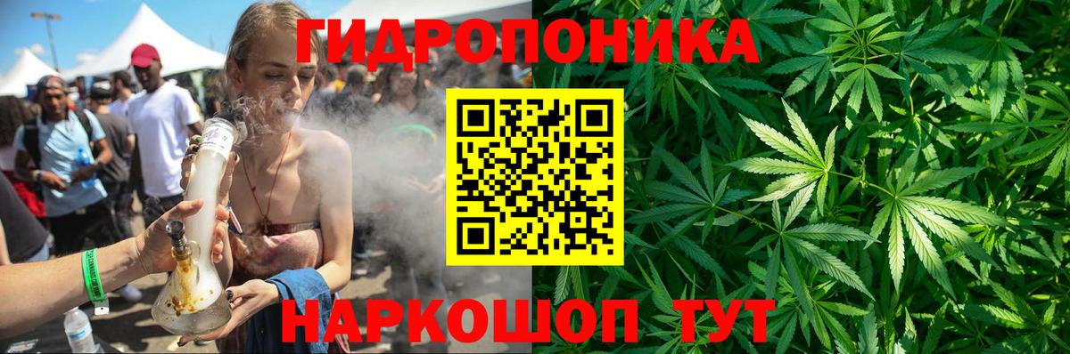 Канабис сатива Морозовск